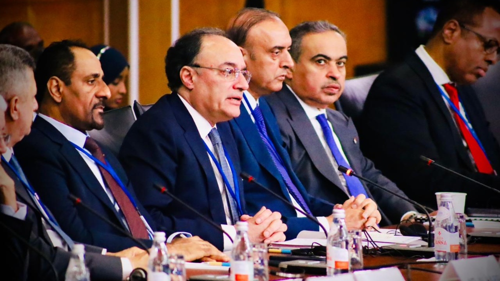 Pakistan achieves economic stability, seeks investment in key sectors: finmin